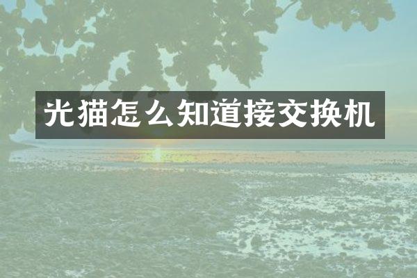 光猫怎么知道接交换机