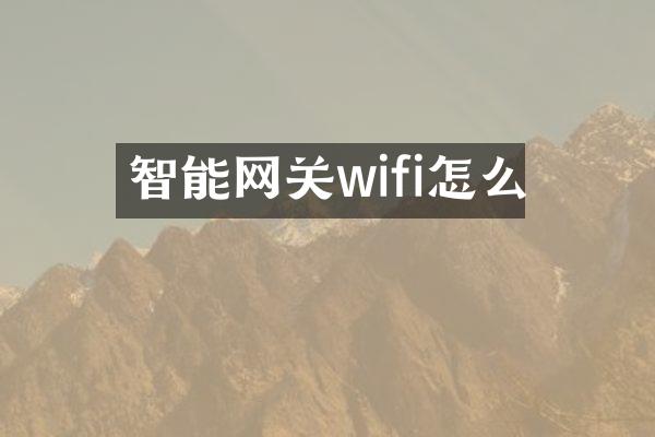 智能网关wifi怎么