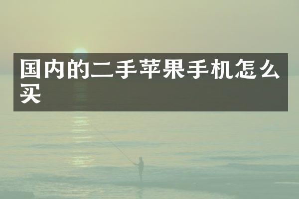 国内的二手苹果手机怎么买