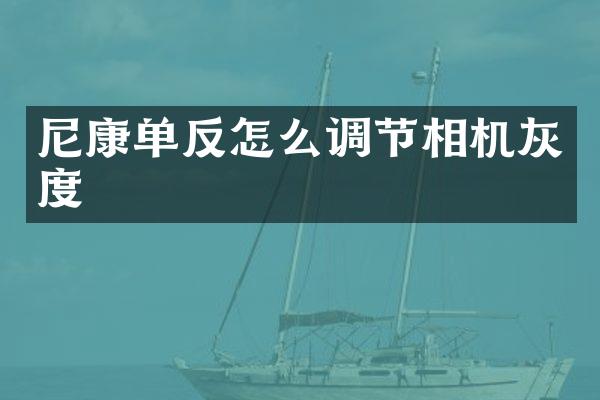 尼康单反怎么调节相机灰度