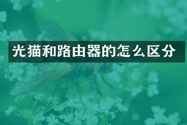 光猫和路由器的怎么区分