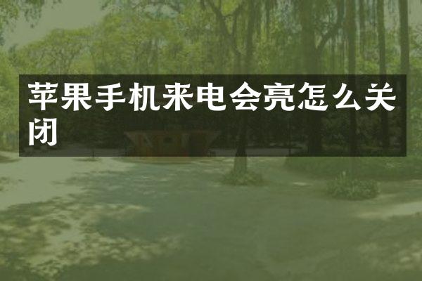 苹果手机来电会亮怎么关闭