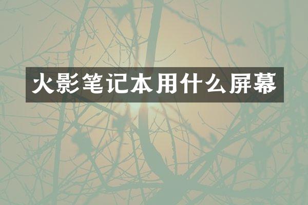 火影笔记本用什么屏幕