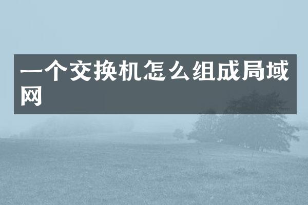 一个交换机怎么组成局域网