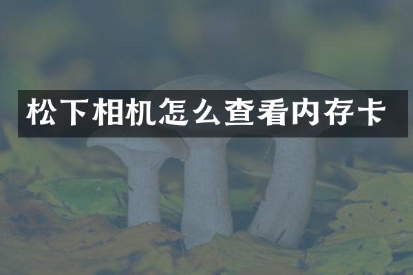 相机怎么查看内存卡