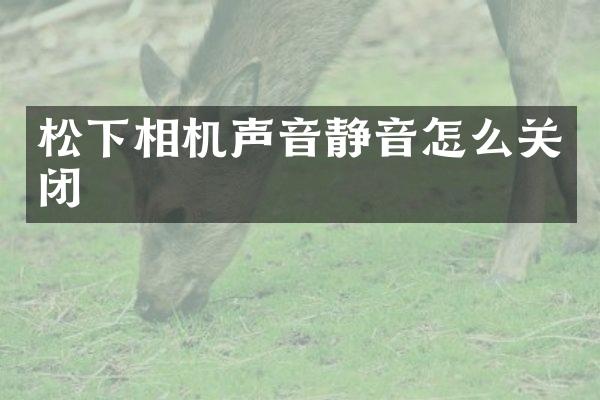 相机声音静音怎么关闭