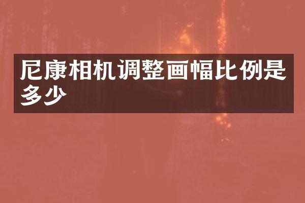 尼康相机调整画幅比例是多少