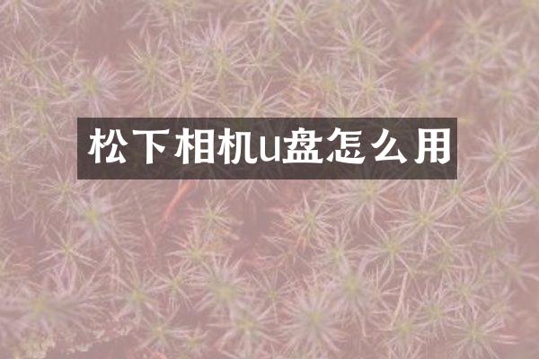 相机u盘怎么用
