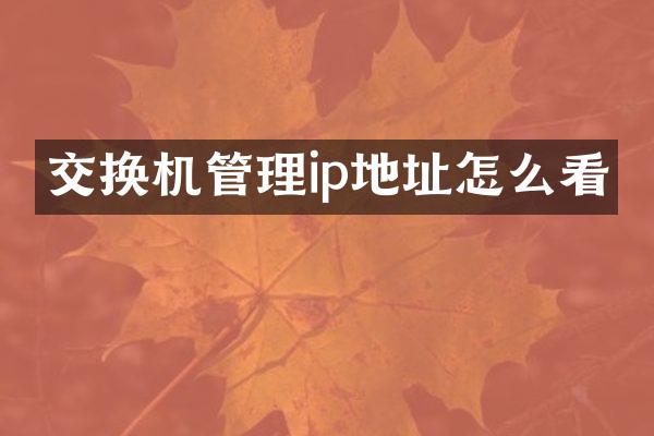 交换机管理ip地址怎么看