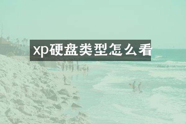 xp硬盘类型怎么看