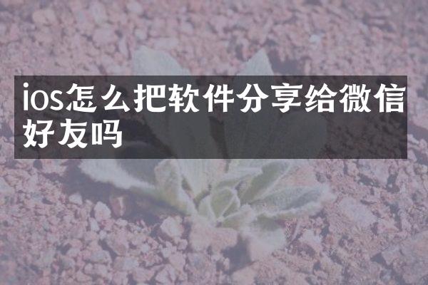 ios怎么把软件分享给微信好友吗