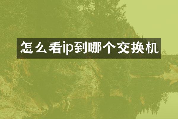怎么看ip到哪个交换机