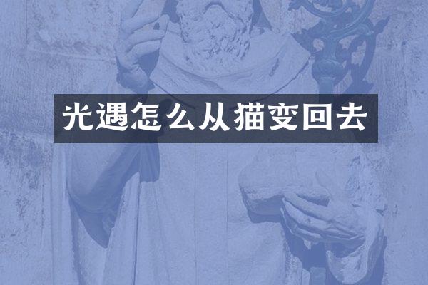 光遇怎么从猫变回去