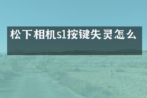 相机s1按键失灵怎么修