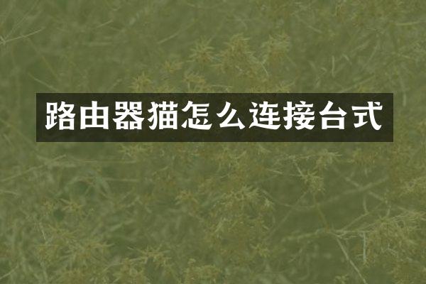 路由器猫怎么连接台式