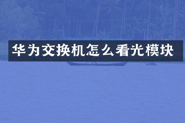 华为交换机怎么看光模块