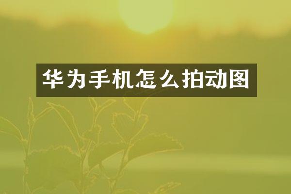 华为手机怎么拍动图