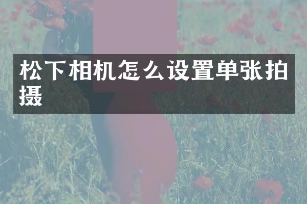 相机怎么设置单张拍摄