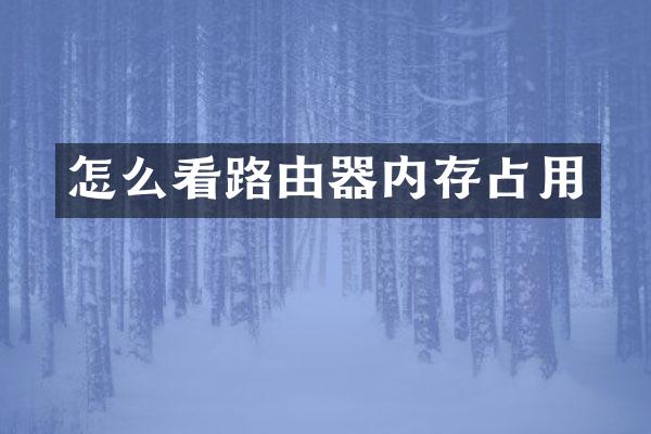 怎么看路由器内存占用