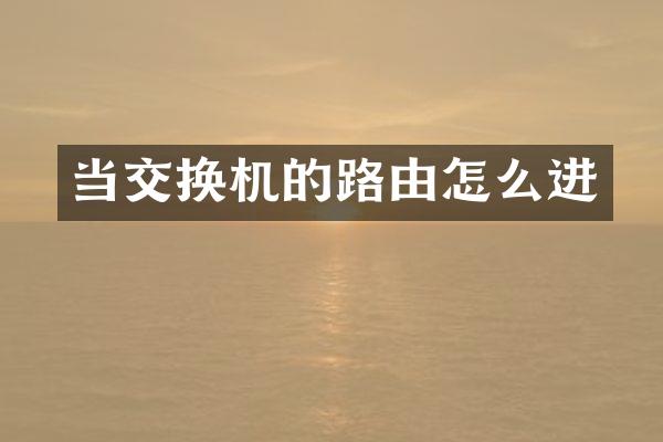 当交换机的路由怎么进