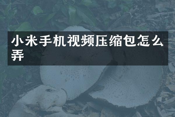 小米手机视频压缩包怎么弄