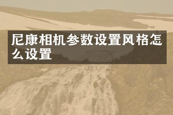 尼康相机参数设置风格怎么设置