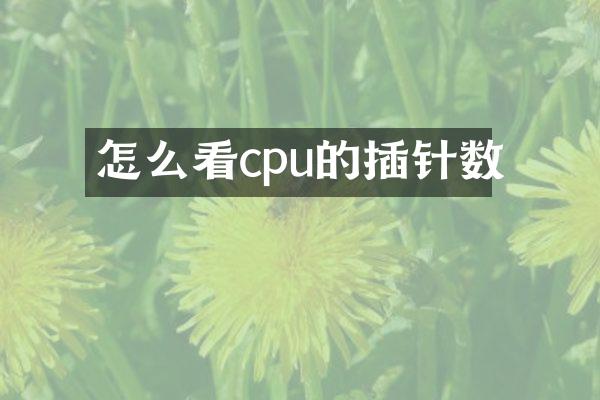 怎么看cpu的插针数