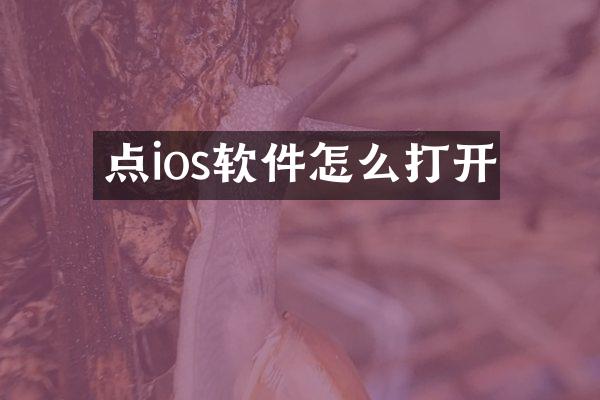点ios软件怎么打开