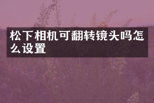 相机可翻转镜头吗怎么设置