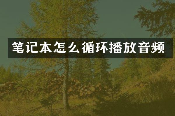 笔记本怎么循环播放音频