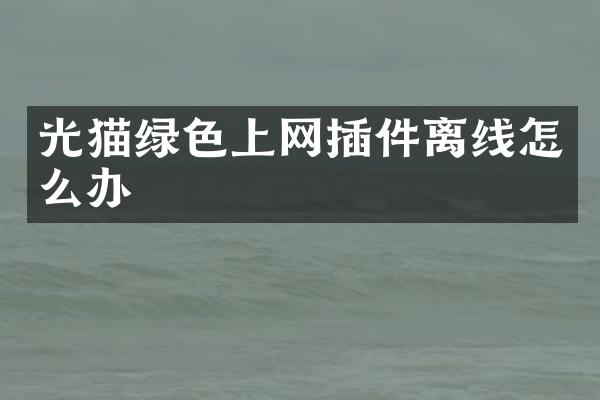 光猫绿色上网插件离线怎么办
