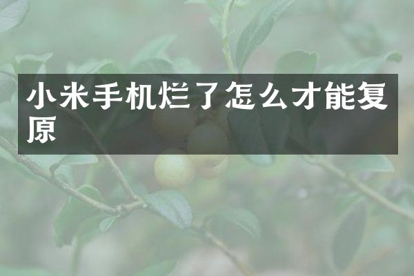 小米手机烂了怎么才能复原