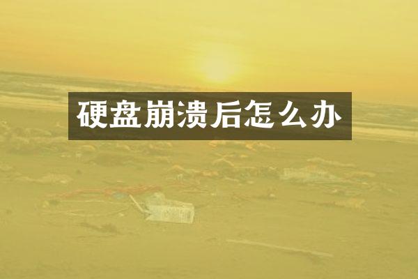 硬盘崩溃后怎么办