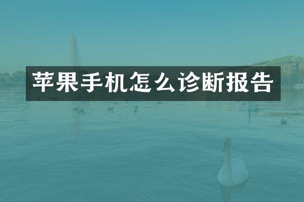 苹果手机怎么诊断报告