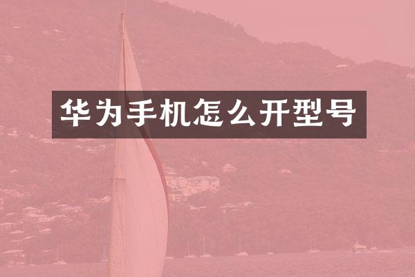 华为手机怎么开型号