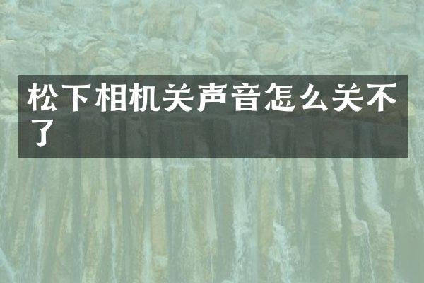 相机关声音怎么关不了