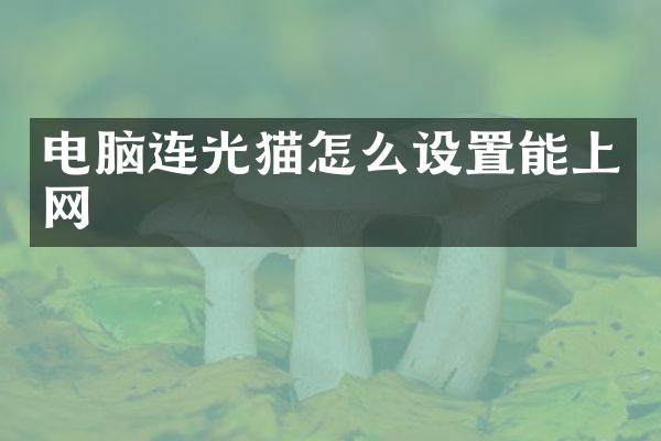 电脑连光猫怎么设置能上网