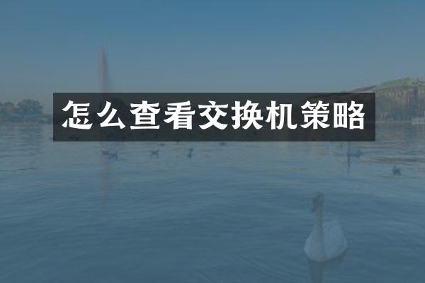 怎么查看交换机策略