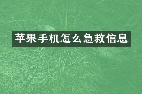 苹果手机怎么急救信息