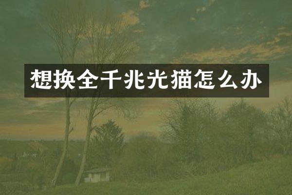 想换全千兆光猫怎么办