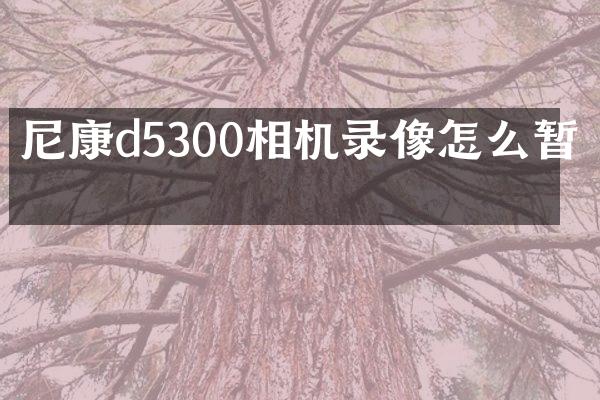 尼康d5300相机录像怎么暂停
