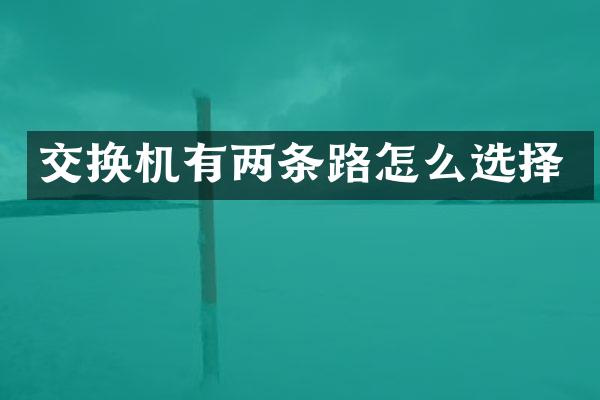 交换机有两条路怎么选择