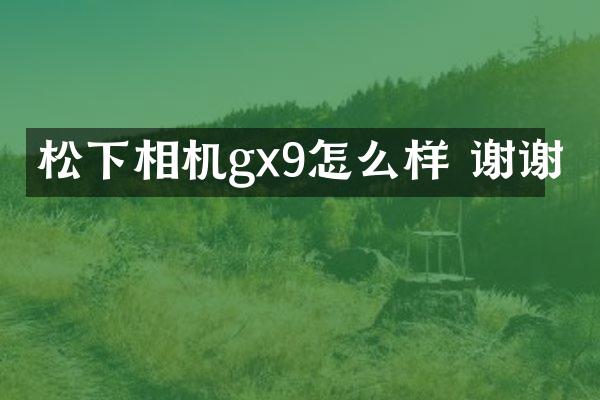 相机gx9怎么样 谢谢