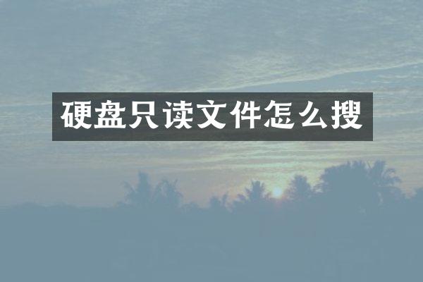 硬盘只读文件怎么搜