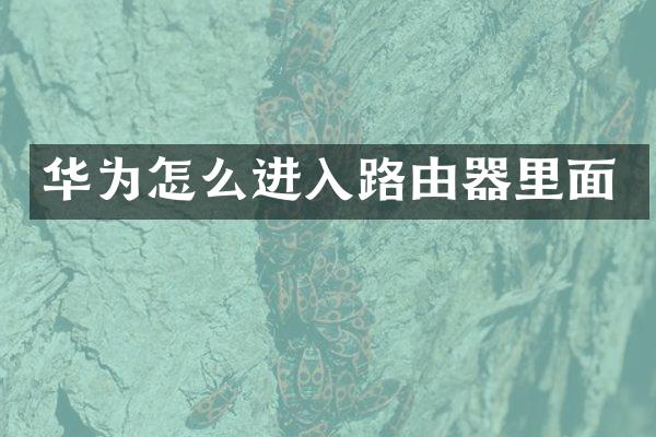 华为怎么进入路由器里面