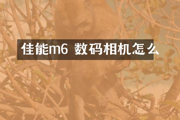 佳能m6 数码相机怎么