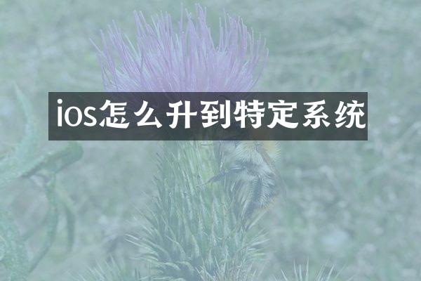 ios怎么升到特定系统