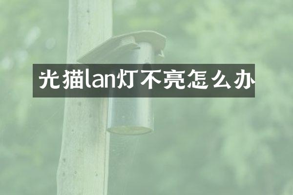 光猫lan灯不亮怎么办