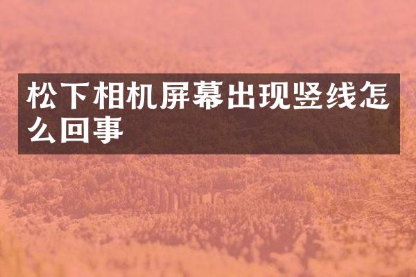 相机屏幕出现竖线怎么回事