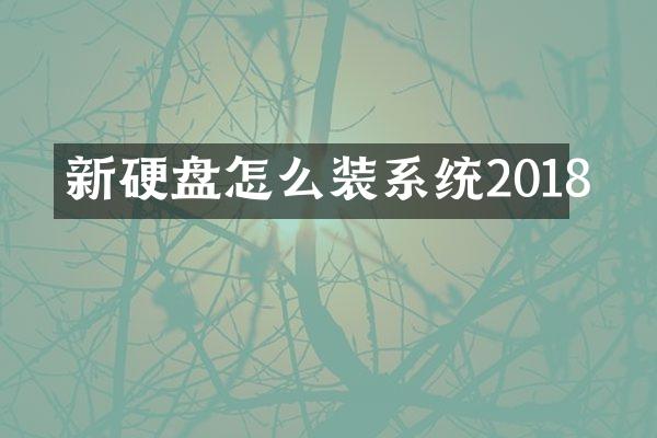 新硬盘怎么装系统2018